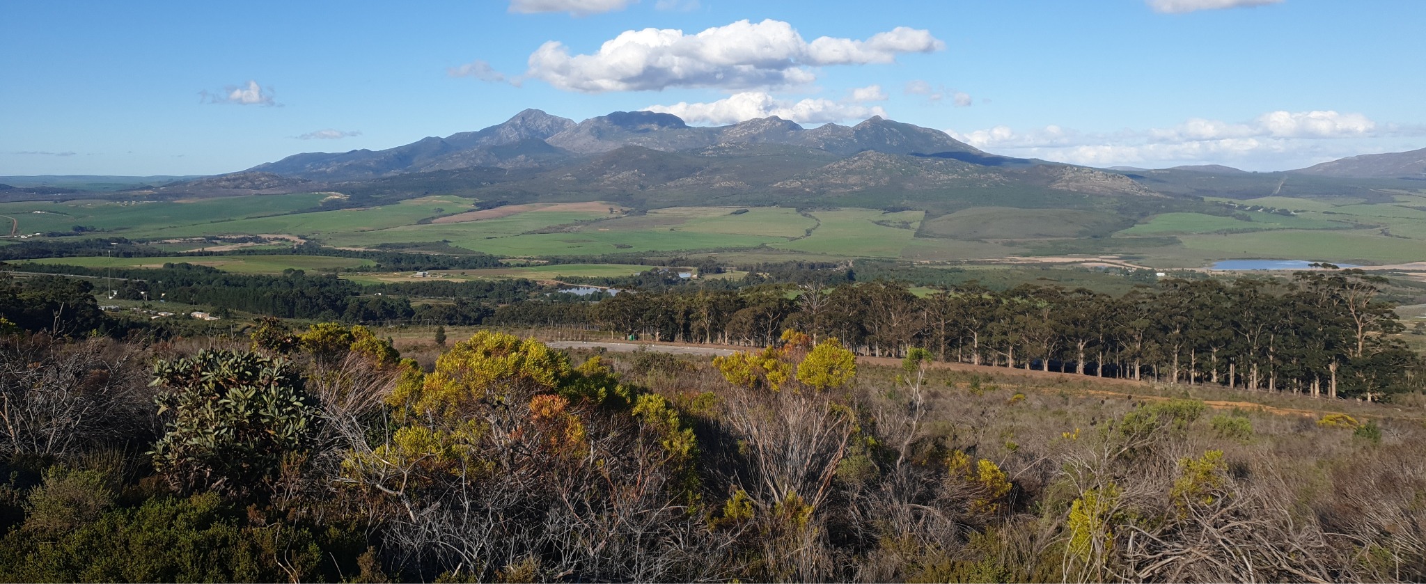 Mountain view from Honingklip Estate
